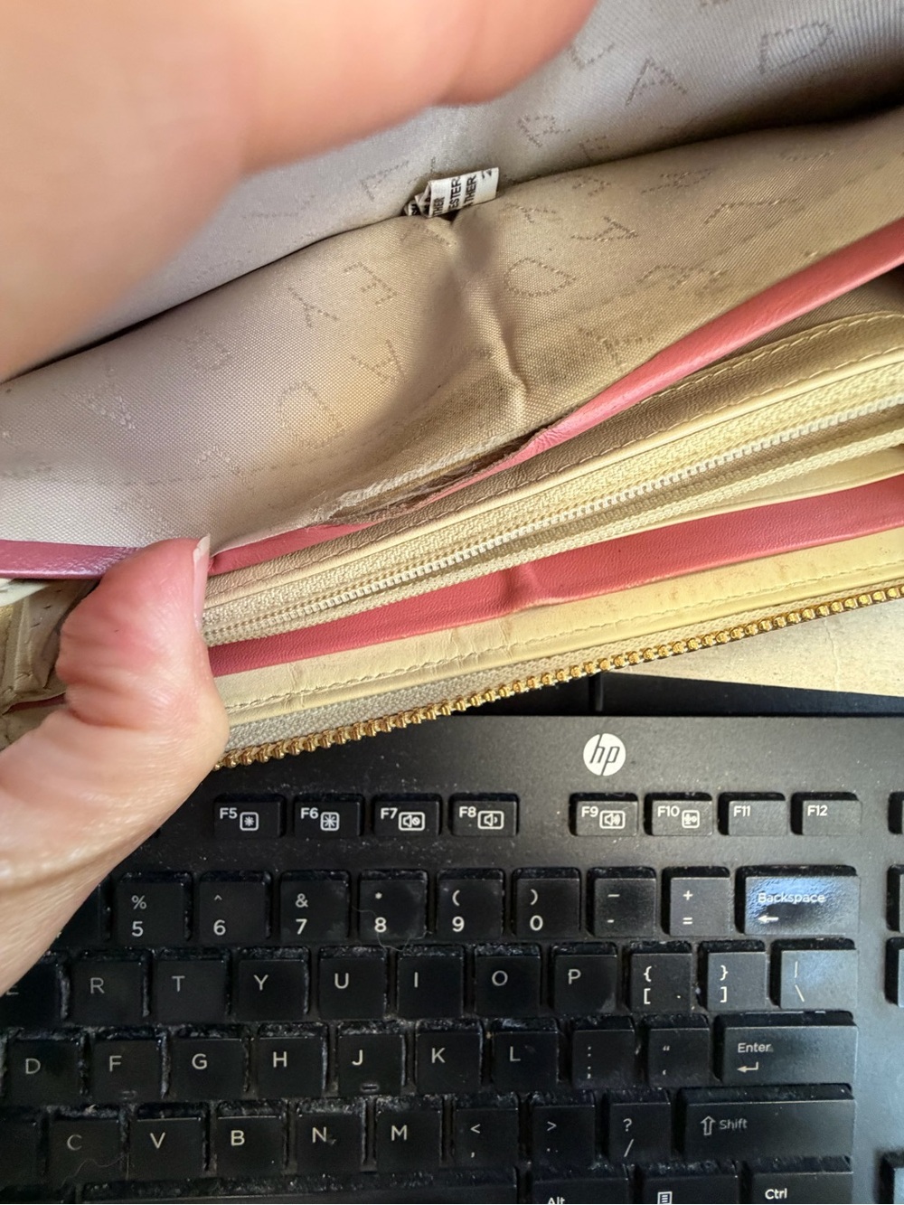 Radley London Dog Appliqué Zip Wallet in Cream & Pink - Picture 5 of 7